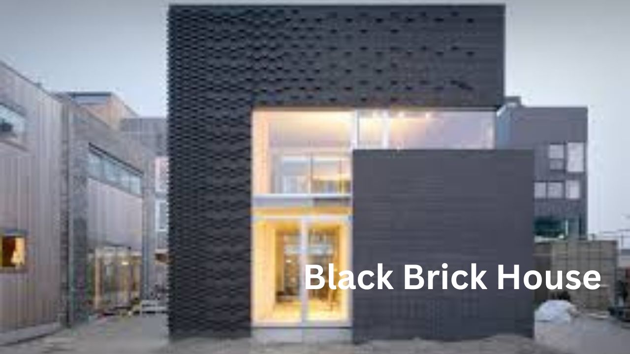 Black Brick House
