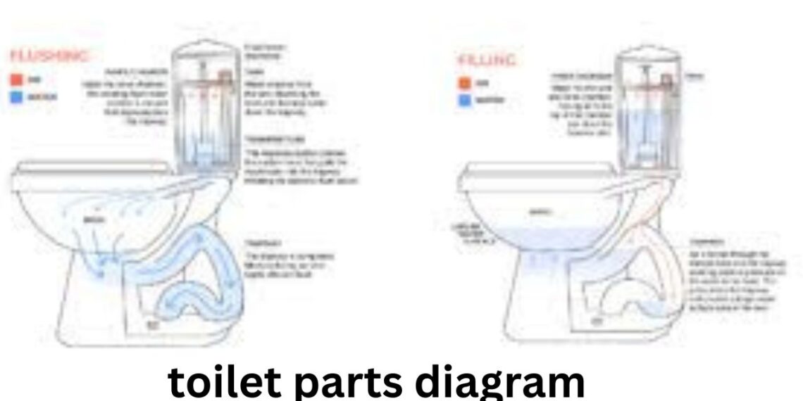 toilet parts diagram
