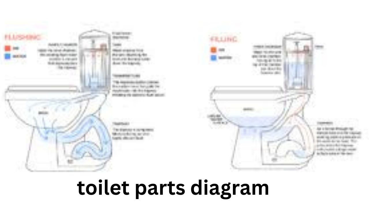toilet parts diagram