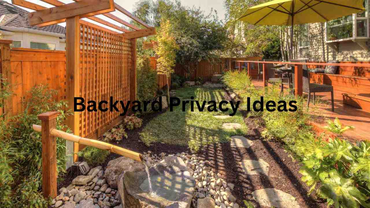 backyard privacy ideas