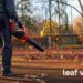 leaf vacuum