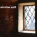 basement window well