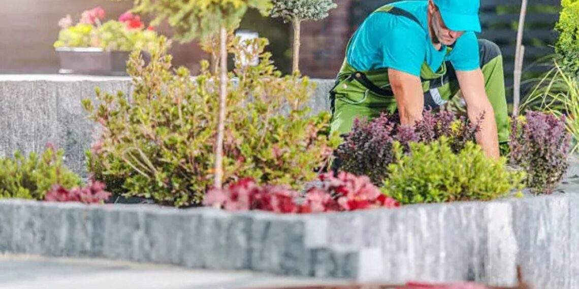 What a Full-Service Landscaping Company