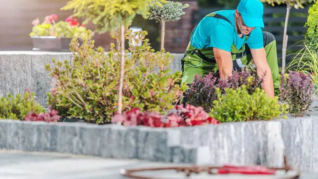 What a Full-Service Landscaping Company