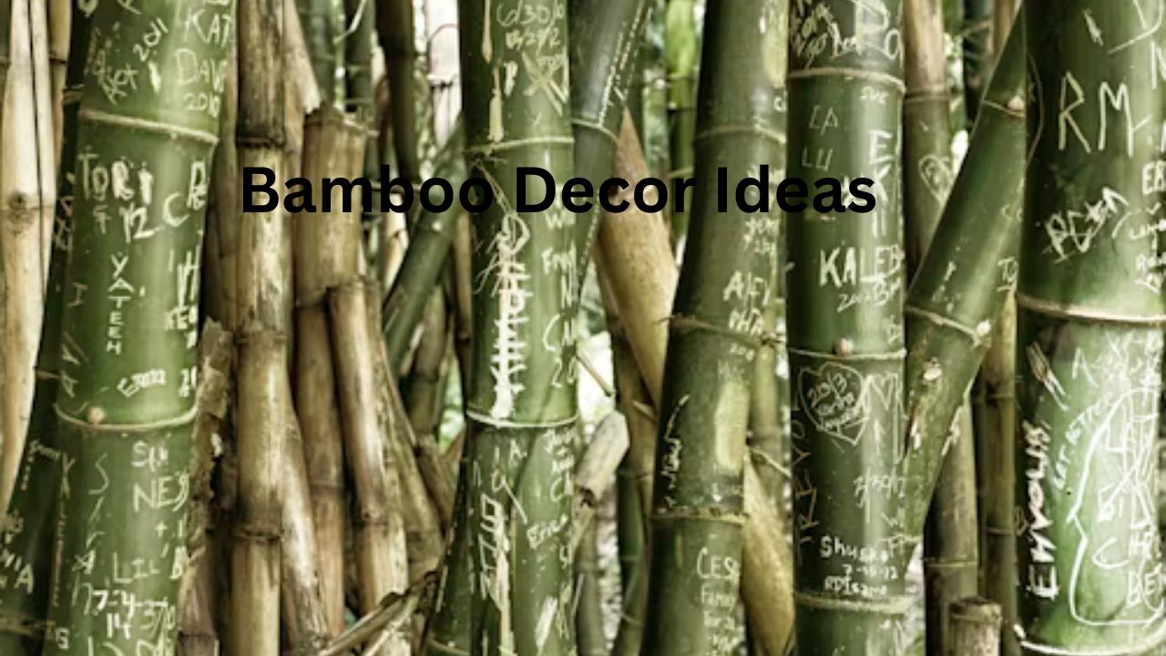 Bamboo Decor Ideas