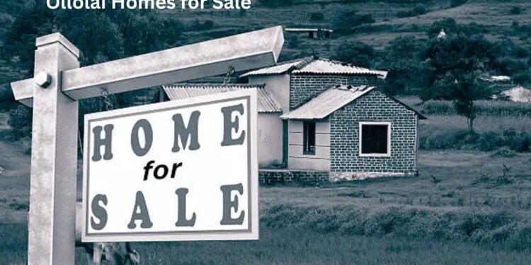 ollolai homes for sale