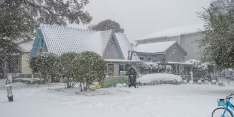 Winter Roofing Risks in Louisiana Homes and How to Prevent Costly Damage