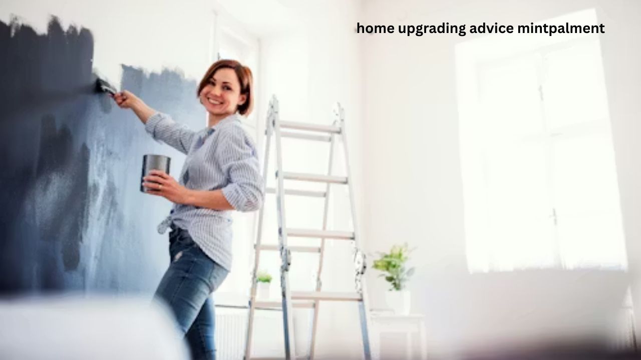 home upgrading advice mintpalment