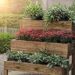 Outdoor Plant Stand Ideas: Decorate, Organize & Beautify Your Space